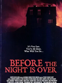  Пока не кончилась ночь 