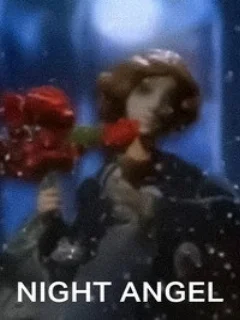  Ночной ангел 