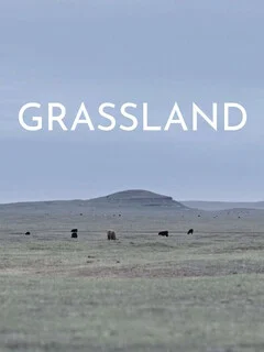  Grassland 