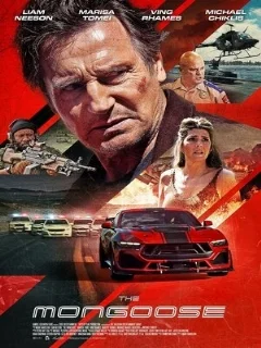  Мангуст 